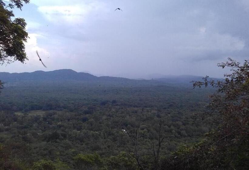 经济房, Elephant Safari Lodge Sigiriya Junction