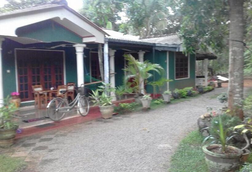 Номер Economy, Elephant Safari Lodge Sigiriya Junction
