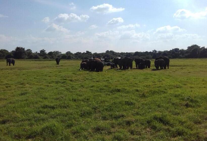 单人经济间, Elephant Safari Lodge Sigiriya Junction