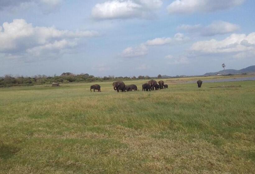 单人经济间, Elephant Safari Lodge Sigiriya Junction