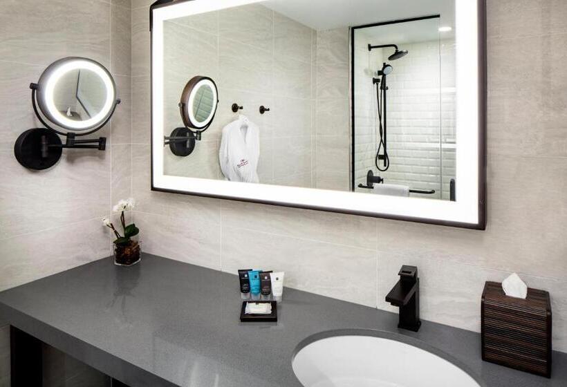 Sviitti Liikuntarajoitteisille, Crowne Plaza HY36 Midtown Manhattan