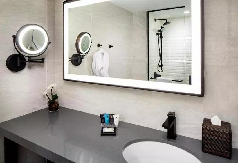 Sviitti Liikuntarajoitteisille, Crowne Plaza HY36 Midtown Manhattan