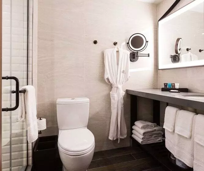 Sviitti Liikuntarajoitteisille, Crowne Plaza HY36 Midtown Manhattan