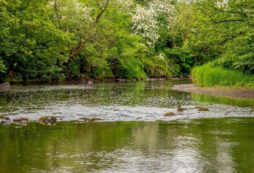 スタンダードルーム, Dalgarven House