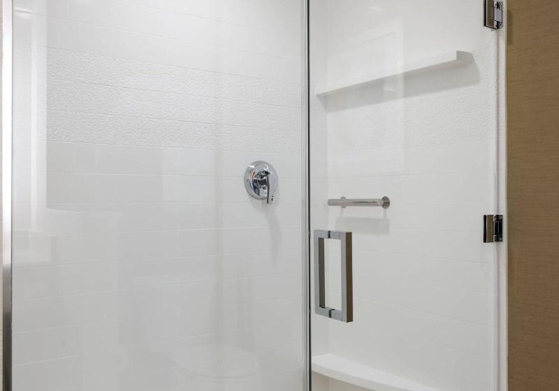 带大床的套房, Fairfield Inn & Suites By Marriott San Diego North/san Marcos