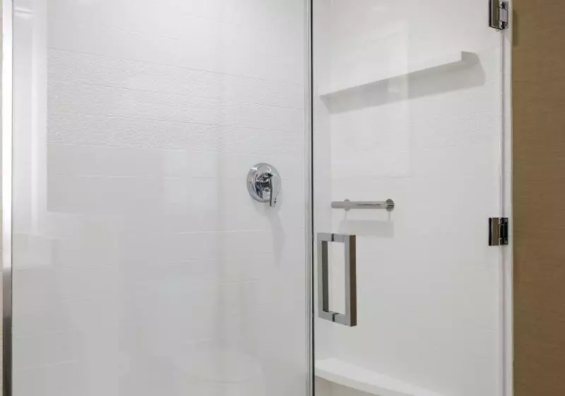 Sviitti King-vuode, Fairfield Inn & Suites By Marriott San Diego North/san Marcos