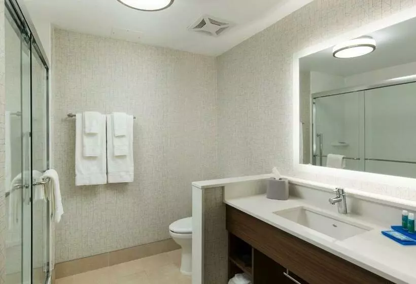 اتاق دلوکس مخصوص معلولین, Holiday Inn Express Visalia Sequoia Gateway Area, An Ihg