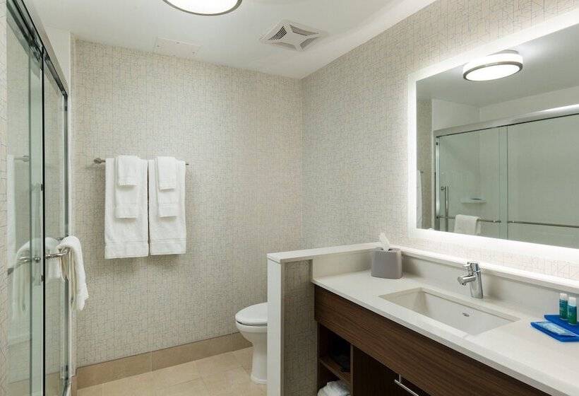 스위트, Holiday Inn Express Visalia Sequoia Gateway Area, An Ihg