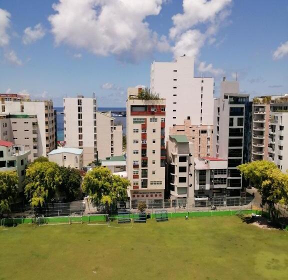 اتاق لوکس, The Grand View