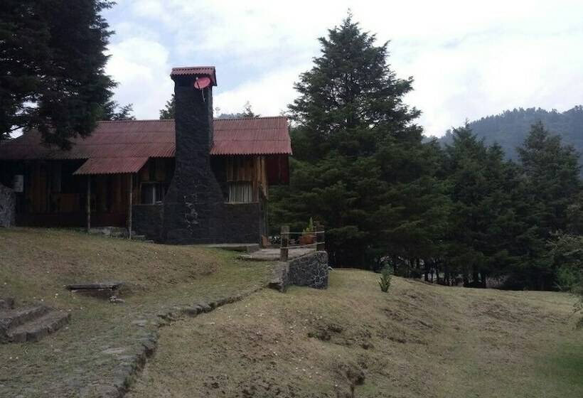 كابينة, Los Vagones Cabañas Restaurante Bar