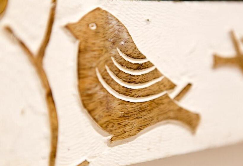 スタンダードスタジオ, Cambridge City Rooms By Paymán Club