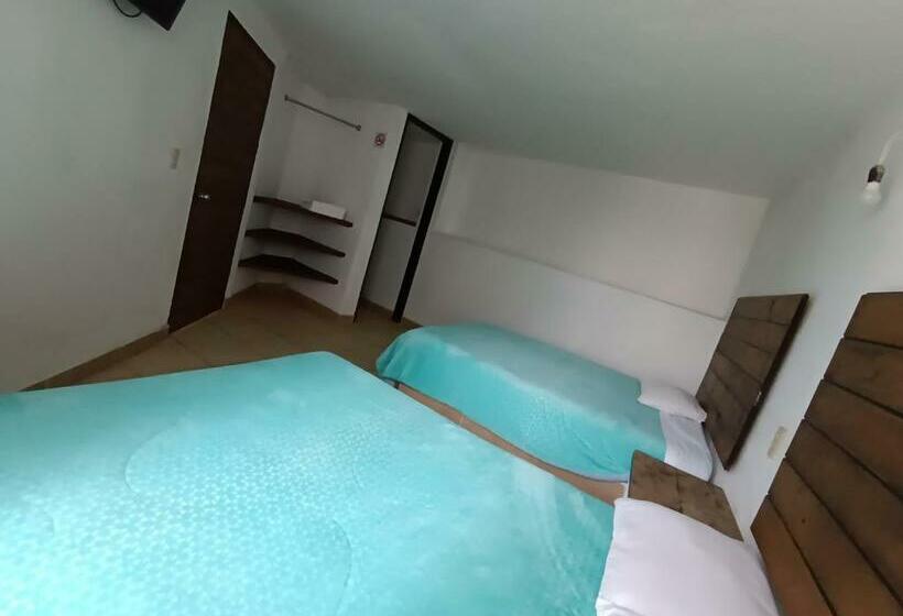 スタンダード4人部屋, El Arrayan