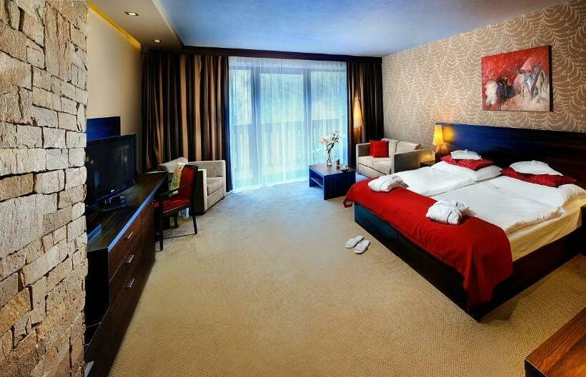 Номер Стандарт, Wellness Hotel Chopok