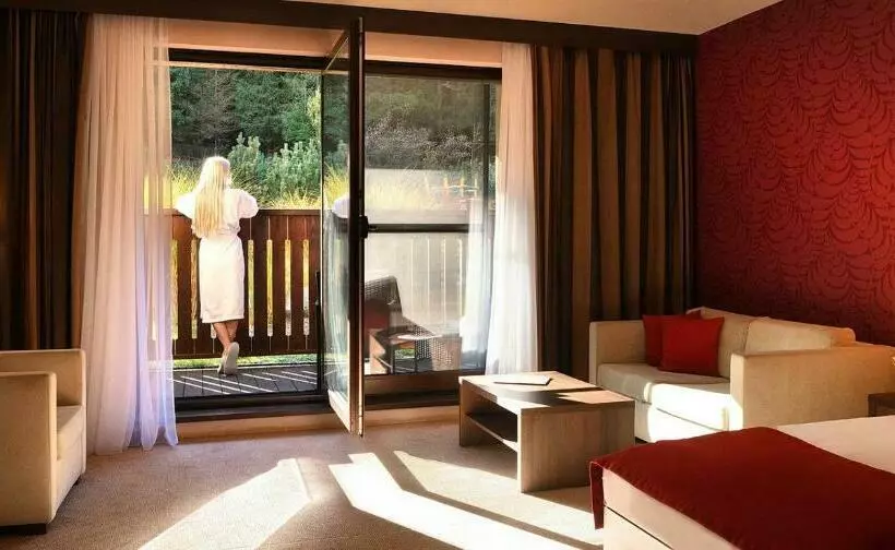 スタンダードルーム, Wellness Hotel Chopok