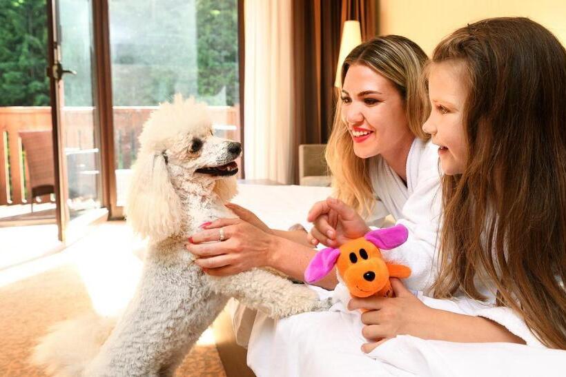 Номер Стандарт, Wellness Hotel Chopok