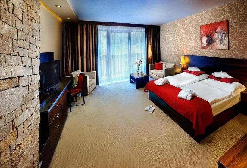 Номер Стандарт, Wellness Hotel Chopok