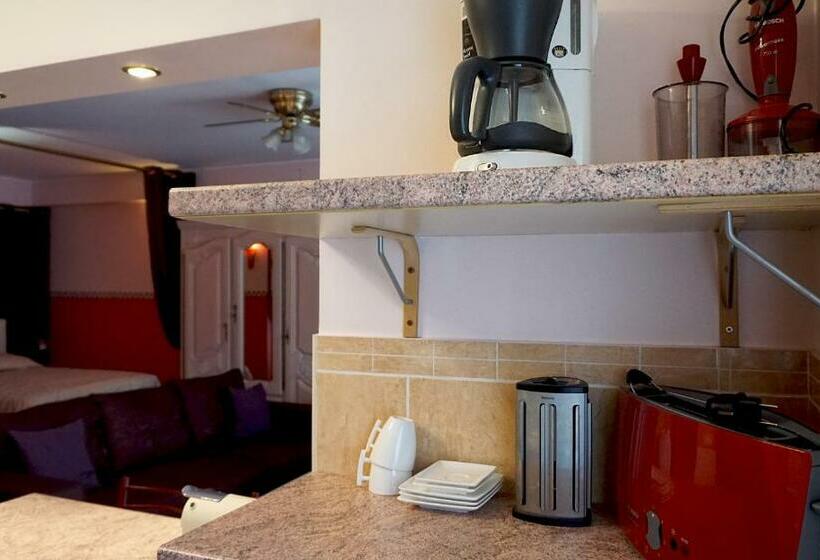 デラックススタジオ, Aparthotel Résidence Bara Midi