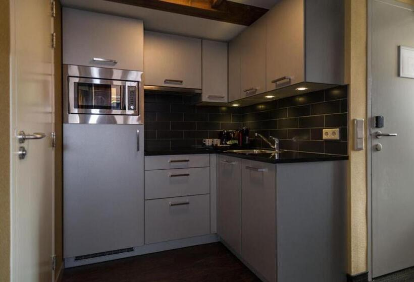 דירת חדר דלוקס, Golden Mansion Apart