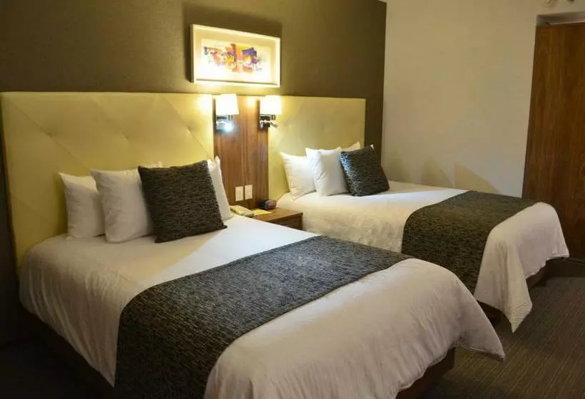 スタンダードルーム, Casa Inn Business Irapuato