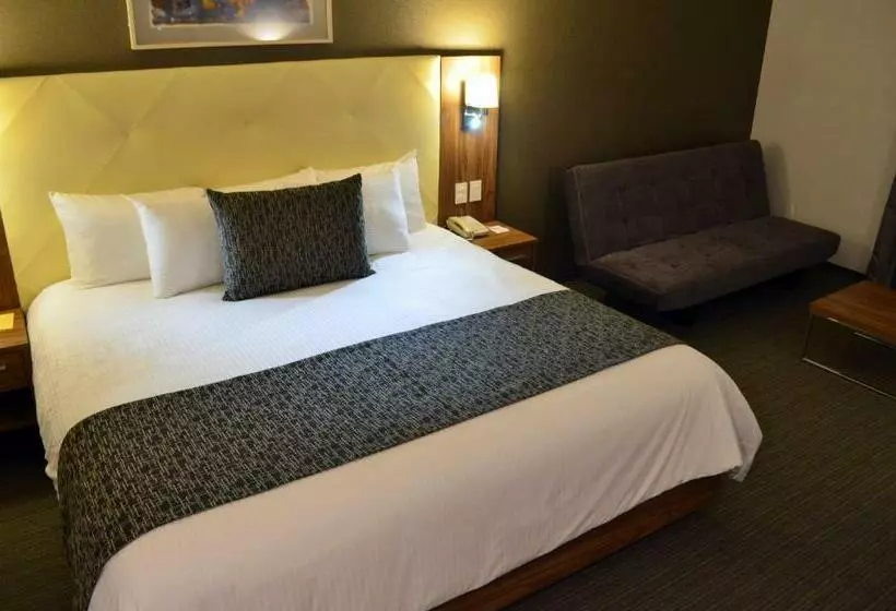 キングサイズベッドのスタンダードルーム, Casa Inn Business Irapuato