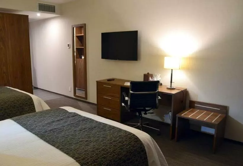 キングサイズベッドのスタンダードルーム, Casa Inn Business Irapuato