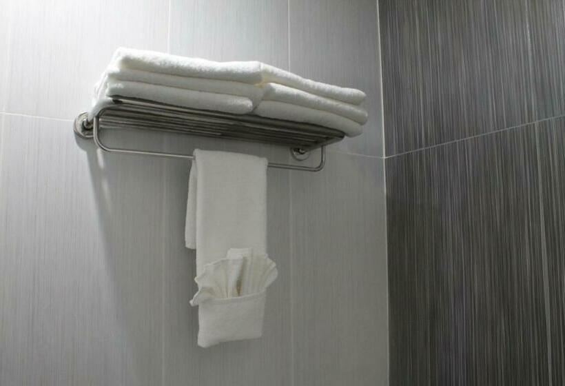 ジュニアスイート, Casa Inn Business Irapuato