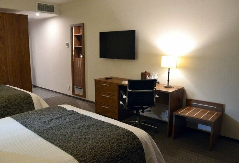 スタンダードルーム, Casa Inn Business Irapuato
