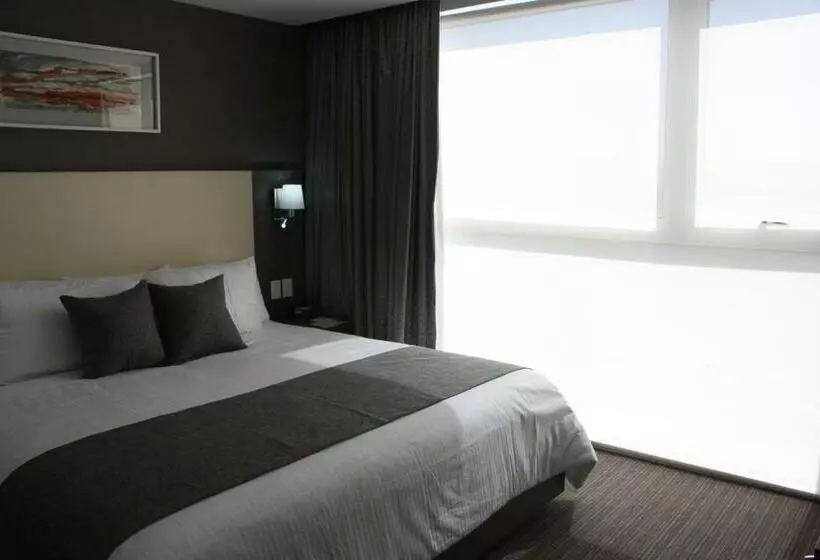 スイート, Casa Inn Business Irapuato