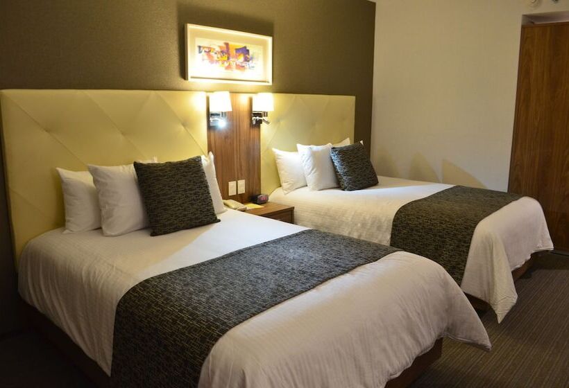 スタンダードルーム, Casa Inn Business Irapuato