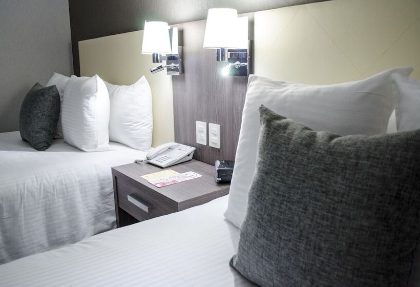 スタンダードルーム, Casa Inn Business Irapuato