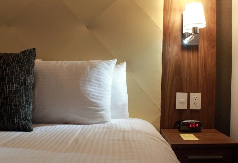ジュニアスイート, Casa Inn Business Irapuato