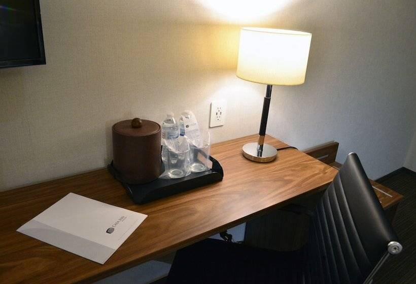 ジュニアスイート, Casa Inn Business Irapuato