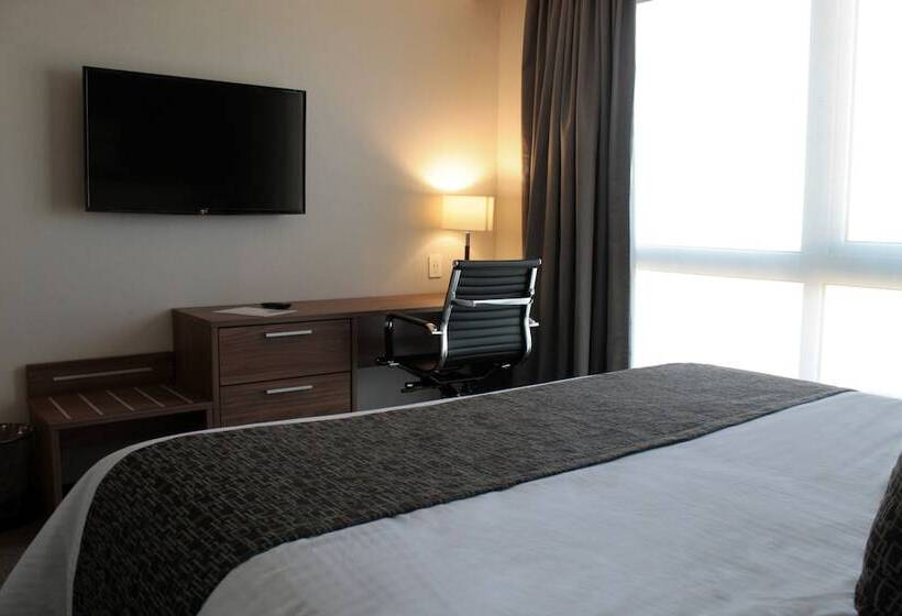 スイート, Casa Inn Business Irapuato