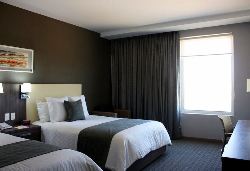 スタンダードルーム, Casa Inn Business Irapuato