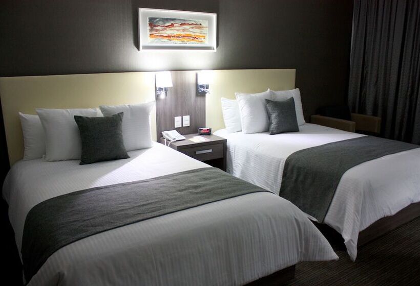 スタンダードルーム, Casa Inn Business Irapuato