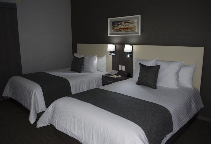 スタンダードルーム, Casa Inn Business Irapuato