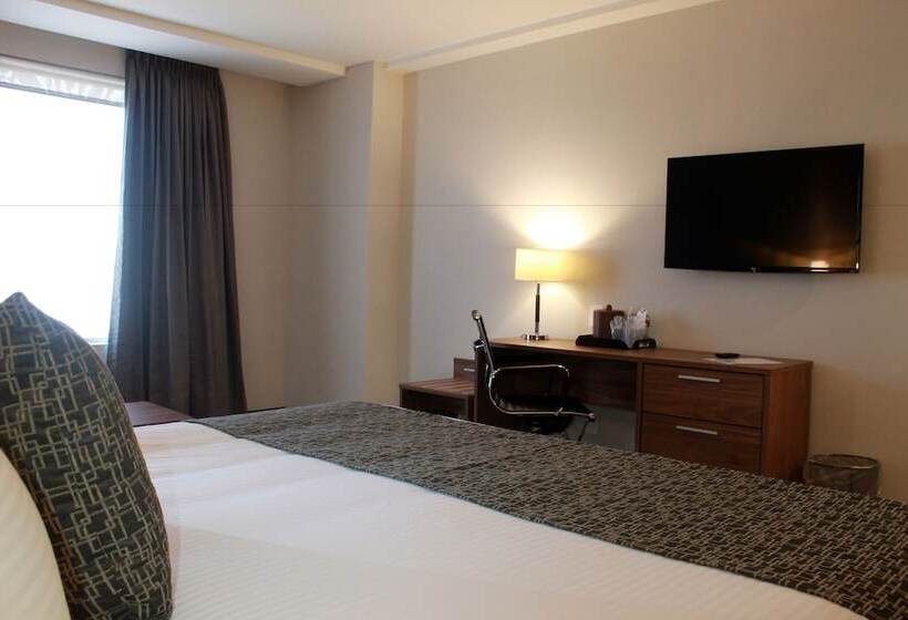 ジュニアスイート, Casa Inn Business Irapuato