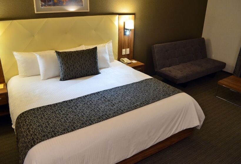 スイート, Casa Inn Business Irapuato