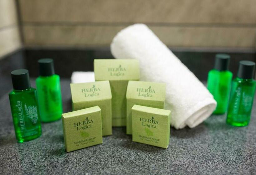 غرفة قياسية, Hvd Grand Hotel Suhl Business & Leisure