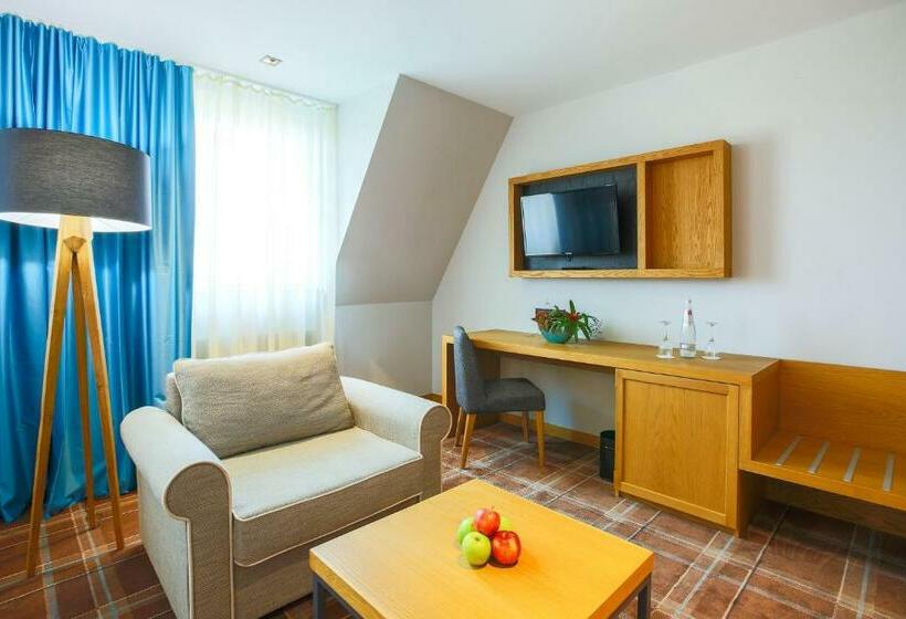 Номер Стандарт, Hvd Grand Hotel Suhl Business & Leisure
