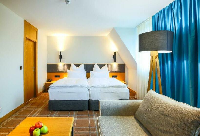غرفة قياسية, Hvd Grand Hotel Suhl Business & Leisure