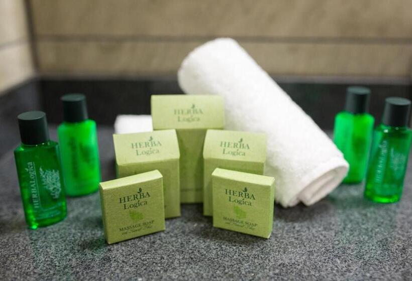 غرفة سوبيريور, Hvd Grand Hotel Suhl Business & Leisure