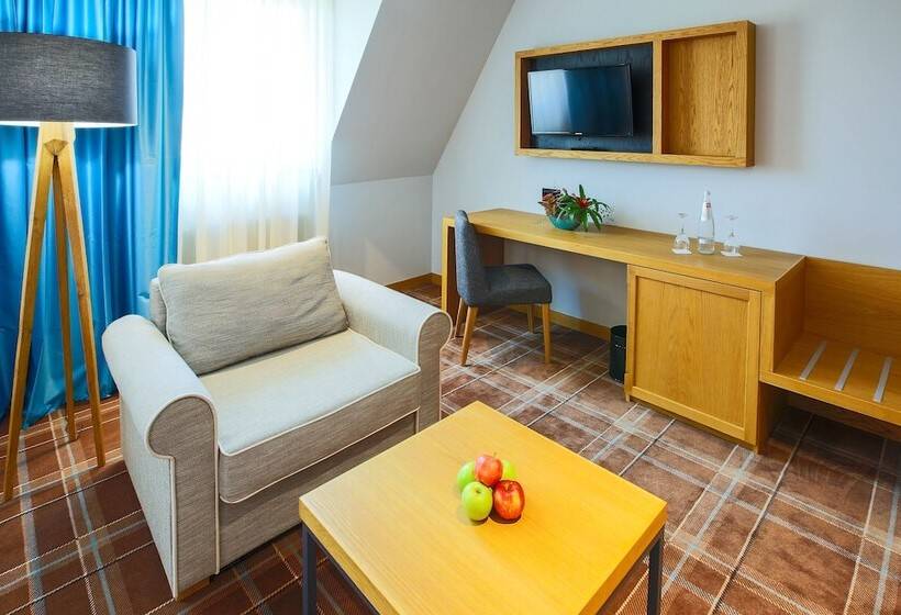 غرفة قياسية, Hvd Grand Hotel Suhl Business & Leisure