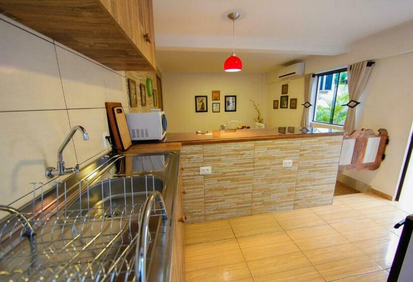 带1个卧室的高级公寓, Iguassu Flats