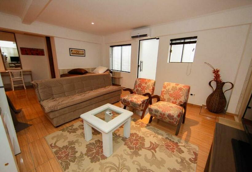 带1个卧室的高级公寓, Iguassu Flats