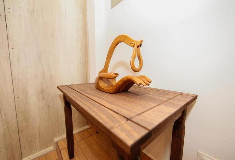 带1个卧室的高级公寓, Iguassu Flats