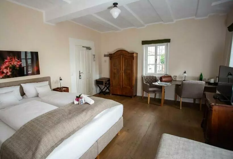 اتاق استاندارد, Altstadthotel Treysa