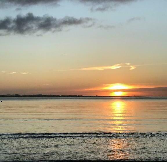 スタンダードシングルルーム, Bed & Breakfast Van Marion