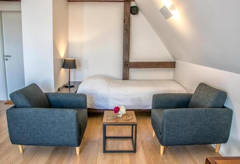 اتاق لوکس, La Villa Du Coteau