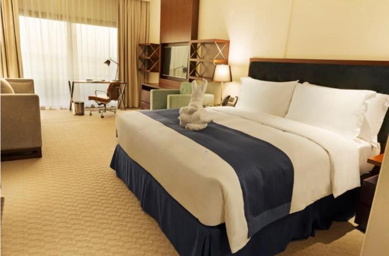 豪华房间, Alreem